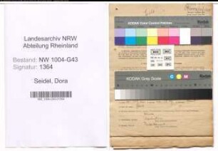 Entnazifizierung Dora Seidel , geb. 26.09.1895 (Witwe)