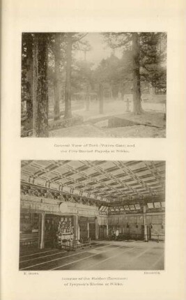 General view of Torii (Votive gate) and the five storied pagoda at Nikko