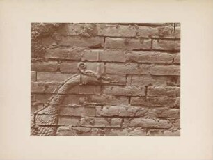 Tierrelief : Tierrelief an einer Mauer in Babylon, freigelegt während der deutschen Ausgrabungsmission unter der Leitung von Johannes Gustav Eduard Robert Koldewey (1899-1917).