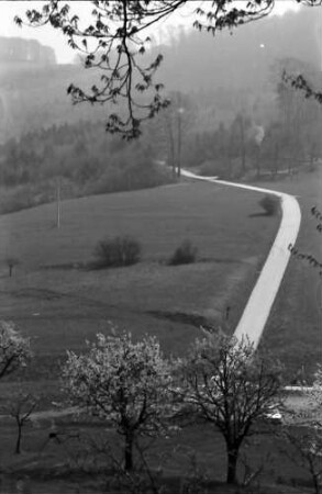 Ebringen: Blütenpracht an der Berghauser Kapelle