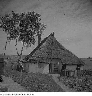 Groß Zicker. Pfarrwitwenhaus, Eingangsseite (nach 1700, Umbau 19. Jh.)