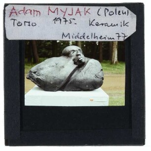 Myak, Torso