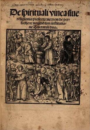 De spirituali vinea siue religionis profectu : necnon de perfectiore nouitiorum institutione Tractatuli duo