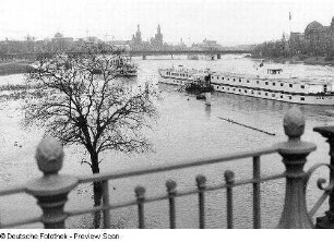 Blick von der Albertbrücke über die Elbe zur Altstadt