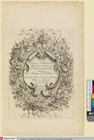 Diverses fleurs dessinées et gravées d'après le naturel