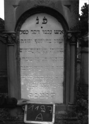 Grabstein 1197 (Index: 100104359) Material: Sandstein, Marmortafel Zustand: gut erhalten, beginnenden Verwitterung Maße HxBxT: 205x64x30 cm Beschreibung: Stele auf getrepptem Sockel, Giebelaufsatz mit Giebel- und Eckakroterien (Blattornamente), eingelassene Schrifttafel mit Rundbogenabschluss, gerahmt von dünnen Säulen mit Blattkapitellen, (vgl. Grabstein der Gattin) Symbolik: Blattornamente: Grabstein 1197A