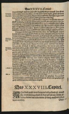 Das XXXVIII. Capitel.