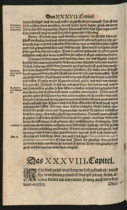 Das XXXVIII. Capitel.
