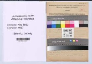Entnazifizierung Ludwig Schmitz , geb. 30.11.1892 (Oberzollinspektor)
