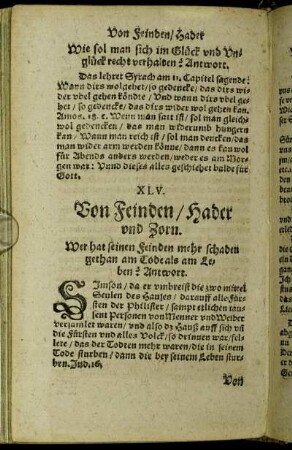 XLV. Von Feinden/ Hader und Zorn.