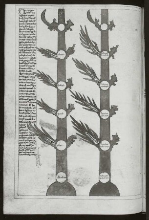 Illustration mit Text, Blatt 89v