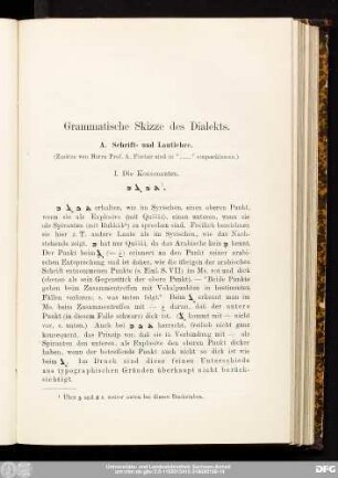 Grammatische Skizze des Dialekts.