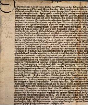 Fridpot. (D)ie Durchleüchtigen Hochgebornnen Fürsten Herr Wilhelm unnd herr Ludwig gebrüeder Pfalnntzgraven bey Rhein Hertzogen in Obern unnd Nydern Bayrn[n] [et]c. ... Gebieten ... krafft dises offen Edicts ... frid zegeben unnd den zehallten ...