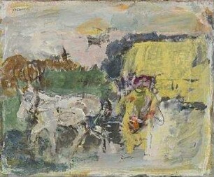 Litauische Landschaft