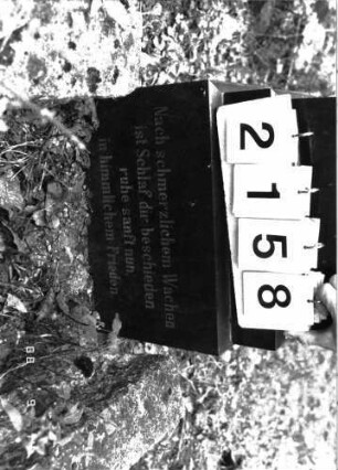 Grabstein 2158 (Index: 100097148) Maße HxBxT: 140x33x14 cm: Grabstein 2158 (Detailaufnahme)