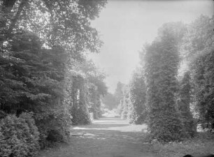 Heckenweg