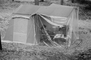Zelt auf einem Campingplatz