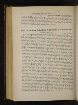 Ein verkannter Schädling Anthonomus cinctus Redt.
