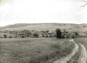 Herzogswalde mit dem Landberg (Tharandter Wald)