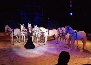Circus Berolina, ohne Ortsangabe, 2012