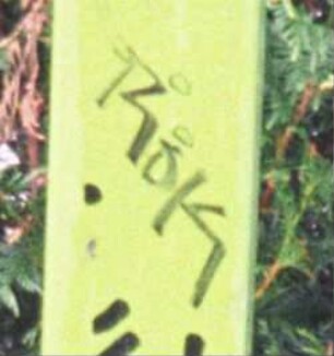 ROK