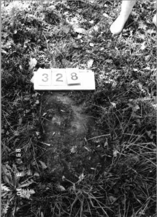 Grabstein 328 (Index: 99791945) Zustand: Fragment Besonderheit: kein Formblatt vorhanden: Grabstein 328