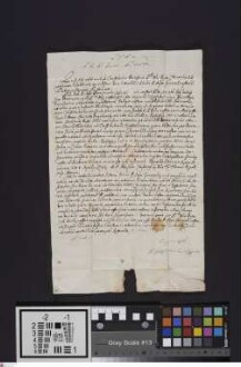 Wimpfen: Der Provinzial des Dominikanerordens übermittelt Kilian Geiger, Prior des Dominikanerklosters, Wimpfen, daß die von Papst Benedikt XIII. den Bettelorden gewährten Privilegien von seinem Nachfolger, Papst Klemens XII., widerrufen wurden.