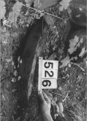 Grabstein 526