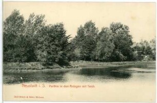 Neustadt in Sachsen. Anlagen mit Teich : Neustadt in Sachsen. Anlagen mit Teich