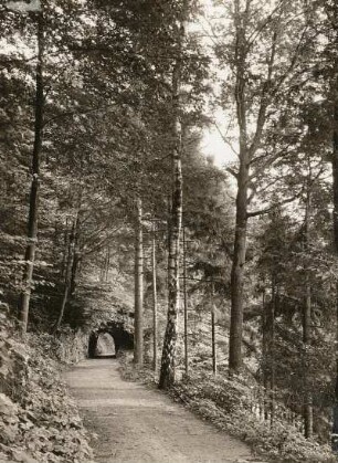 Zschopautal : Mittelsächsisches Hügelland. Zschopautal. Alte Förderbahn oberhalb Dreiwerden