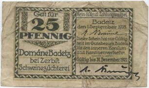 25 Pfennig