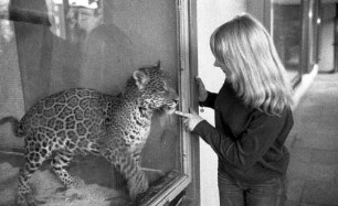 Raubtiere im Karlsruher Zoo.
