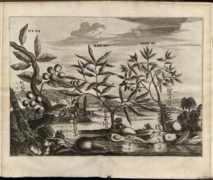 Illustration "Pi-Pa; Man-Ko; Giam-Bo"