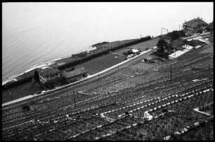 Lutry: Terrassen, Weinberge, unten Straße und Bahn