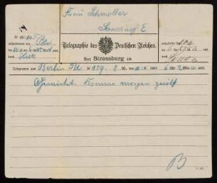 Telegramm vom 11.11.1881
