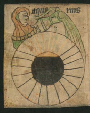 Tierkreiszeichen: Aquarius