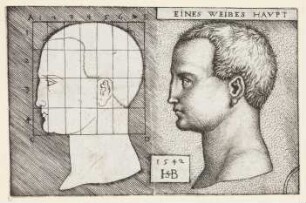 Eines Weibes Haupt (Proportionsstudie)