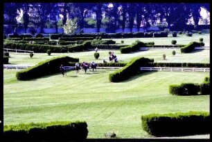 Meran (Südtirol, Italien): Galopp-Hindernis Rennen