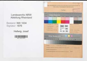 Entnazifizierung Josef Hellwig , geb. 27.12.1908 (Stabsfeldwebel)