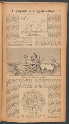 El geupardo en el Egiptio antiguo