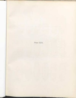 Plate XIX.