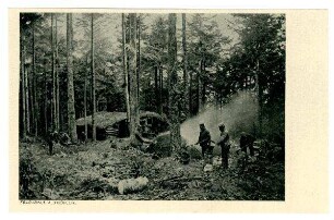 Nr. 8: Feldgraue als Köhler