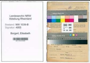 Entnazifizierung Elisabeth Borgert , geb. 08.08.1891 (Fuersorgerin)
