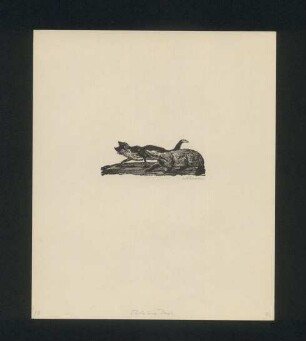 Reineke und Grimbart der Dachs