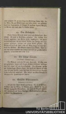 19. Der Kellerhals.