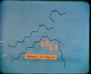 Biochemie - Niedermolekulare Verbindungen IV
