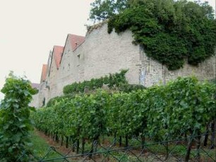 Stadtbefestigung - Ansicht im Süden von Südwesten über Feldseite-Stadtmauer mit aufgebauten Häusern