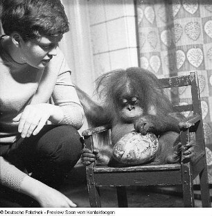 Zoo