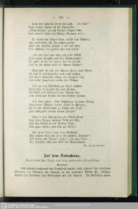 Auf dem Totenstein : Vaterländische Sage aus dem mittleren Erzgebirge