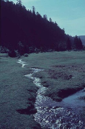 Oberweißbach. Landschaft bei Oberweißbach